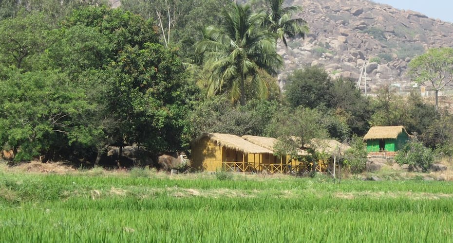 Hotel Gowri, Hampi 4